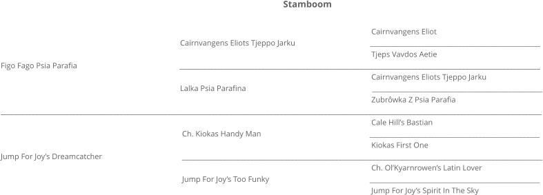 Cairnvangens Eliot                                                                                            Cairnvangens Eliots Tjeppo Jarku                                      __________________________________________________                                                                                                                                                                                             Tjeps Vavdos Aetie Figo Fago Psia Parafia                                                    __________________________________________________________________________________________________________                                                                                                                                                                                             Cairnvangens Eliots Tjeppo Jarku                                                                                            Lalka Psia Parafina                                                                __________________________________________________                                                                                                                                                                                             Zubrôwka Z Psia Parafia _______________________________________________________________________________________________________________________________________________________________                                                                                                                                                                                             Cale Hill’s Bastian                                                                                             Ch. Kiokas Handy Man                                                       __________________________________________________                                                                                                                                                                                             Kiokas First One Jump For Joy’s Dreamcatcher	                                       __________________________________________________________________________________________________________                                                                                                                                                                                             Ch. Ol’Kyarnrowen’s Latin Lover                                                                                             Jump For Joy’s Too Funky                                                   __________________________________________________                                                                                                                                                                                             Jump For Joy’s Spirit In The Sky   Stamboom
