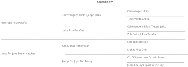 Cairnvangens Eliot                                                                                            Cairnvangens Eliots Tjeppo Jarku                                      __________________________________________________                                                                                                                                                                                             Tjeps Vavdos Aetie Figo Fago Psia Parafia                                                    __________________________________________________________________________________________________________                                                                                                                                                                                             Cairnvangens Eliots Tjeppo Jarku                                                                                            Lalka Psia Parafina                                                                __________________________________________________                                                                                                                                                                                             Zubrôwka Z Psia Parafia _______________________________________________________________________________________________________________________________________________________________                                                                                                                                                                                             Cale Hill’s Bastian                                                                                             Ch. Kiokas Handy Man                                                       __________________________________________________                                                                                                                                                                                             Kiokas First One Jump For Joy’s Dreamcatcher	                                       __________________________________________________________________________________________________________                                                                                                                                                                                             Ch. Ol’Kyarnrowen’s Latin Lover                                                                                             Jump For Joy’s Too Funky                                                   __________________________________________________                                                                                                                                                                                             Jump For Joy’s Spirit In The Sky   Stamboom