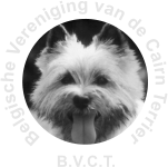 B.V.C.T. Belgische Vereniging van de Cairn Terrier