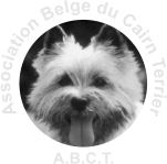 Association Belge du Cairn Terrier  A.B.C.T.